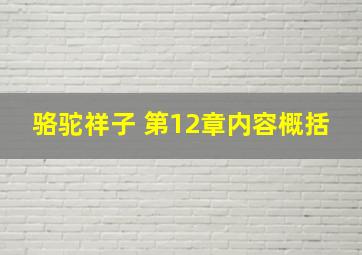 骆驼祥子 第12章内容概括